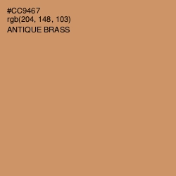 #CC9467 - Antique Brass Color Image